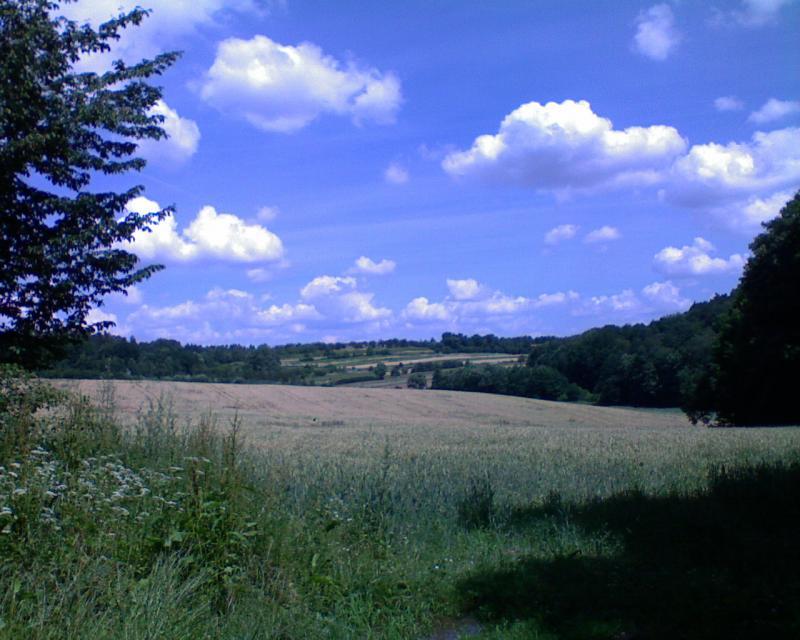 26901.jpg