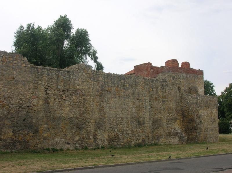27240.jpg