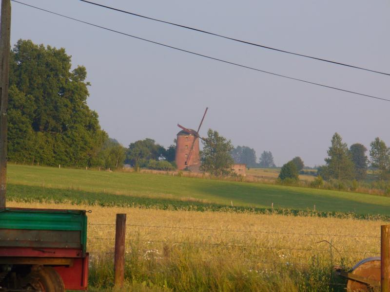 27541.jpg