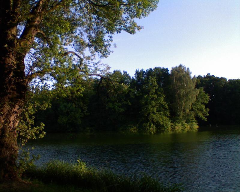 27558.jpg