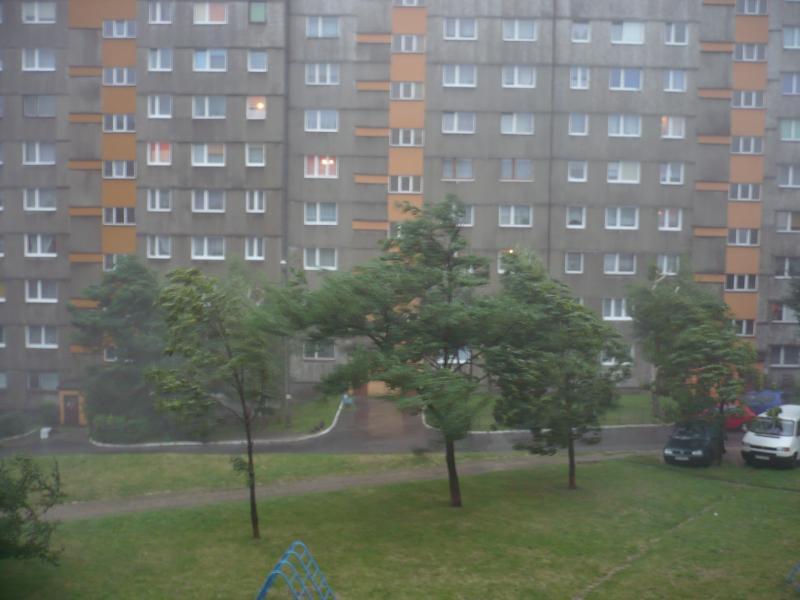 27826.jpg