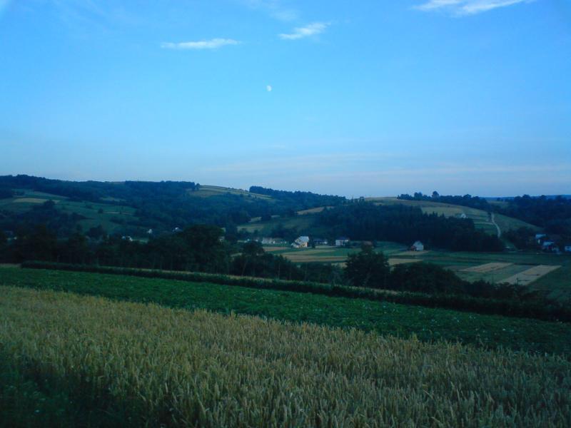 27829.jpg