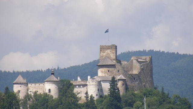 28264.jpg