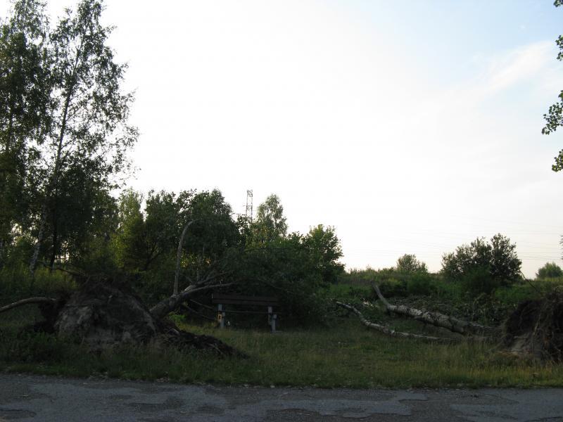 28287.jpg