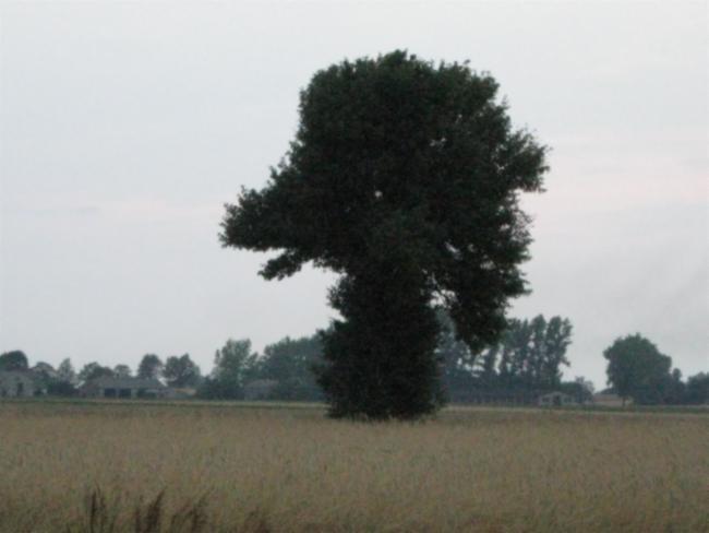 28297.jpg