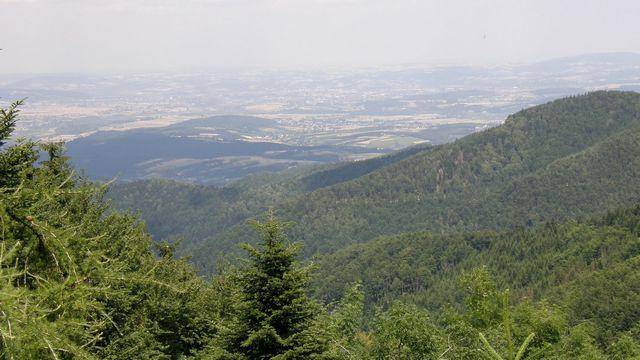 28310.jpg
