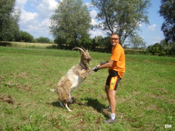 Kozi taniec
