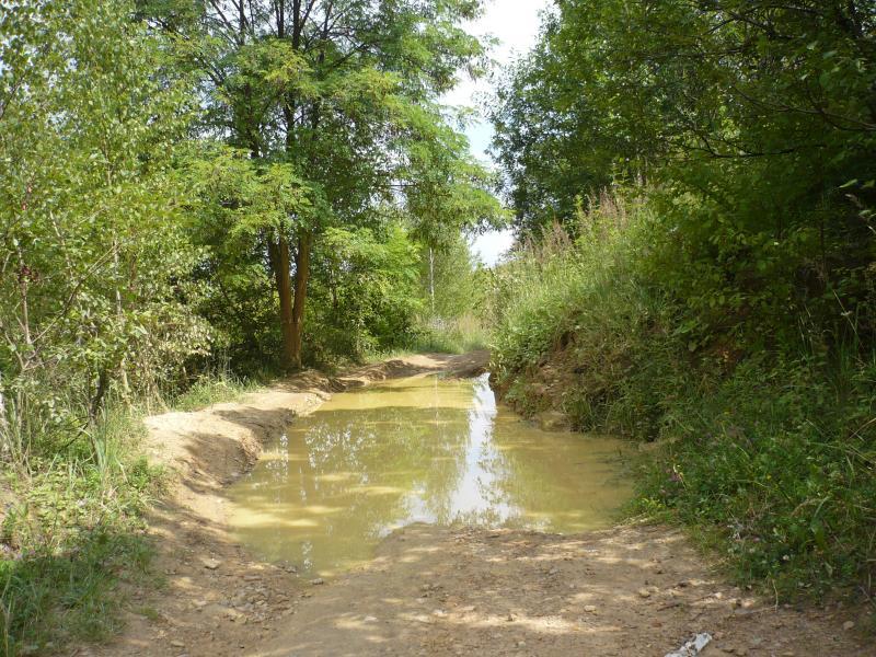 dsd, radzionków, kałuża