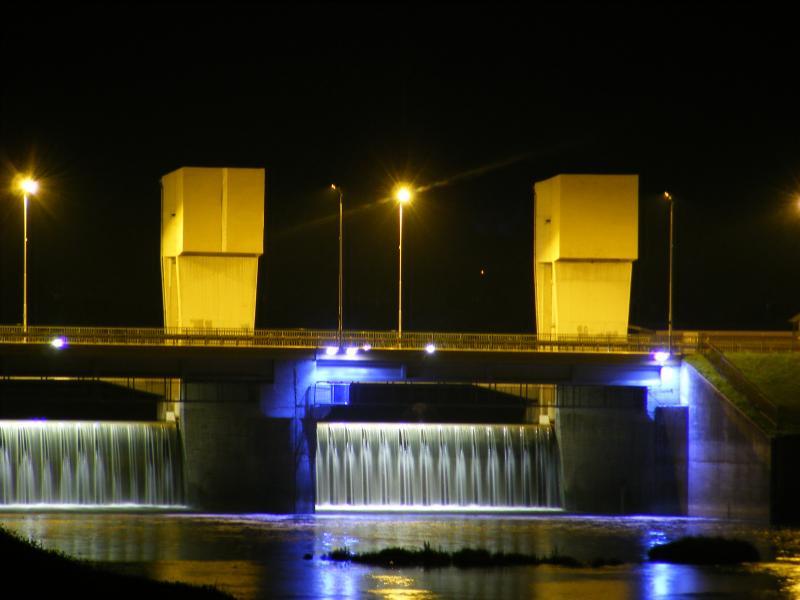 28445.jpg