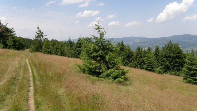 28690.jpg