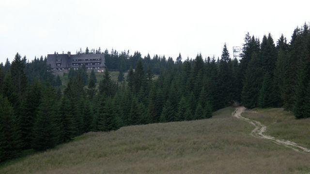 28703.jpg