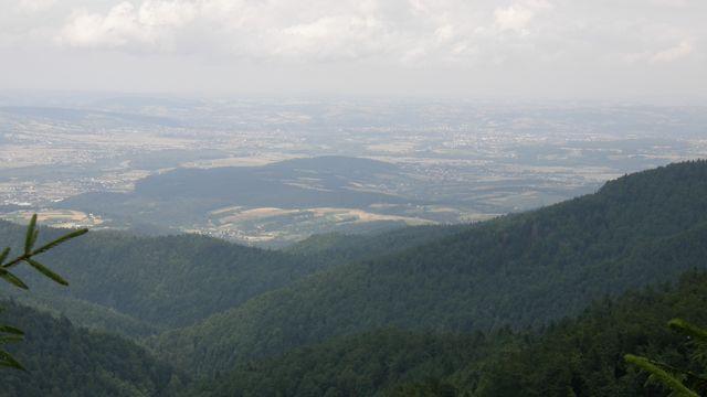 28724.jpg