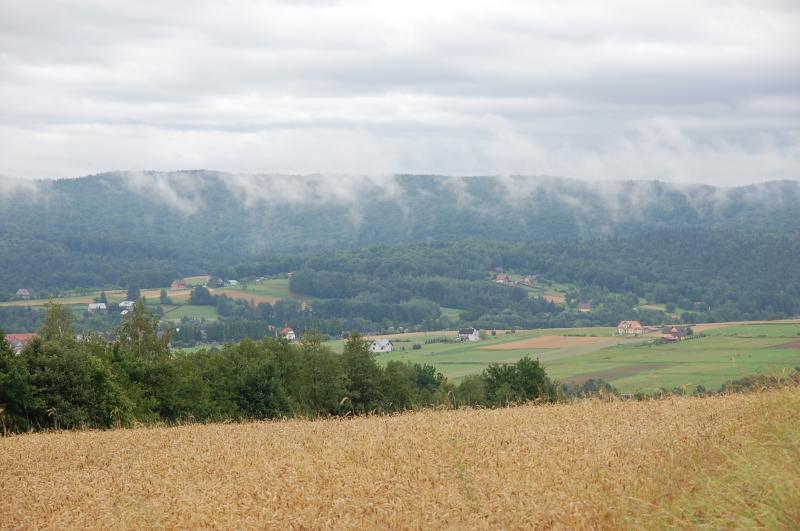 okolice, lipnicy murowanej