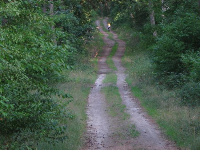 28759.jpg