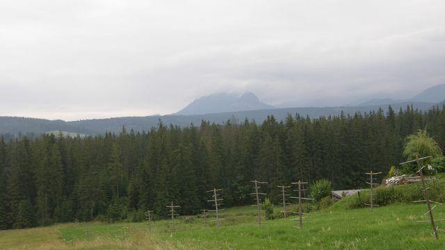 28799.jpg