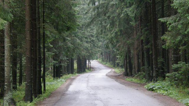 28800.jpg