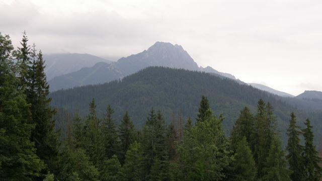 28801.jpg