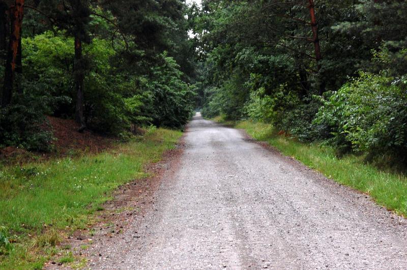 biadoliny radłowskie, wielka droga królewska