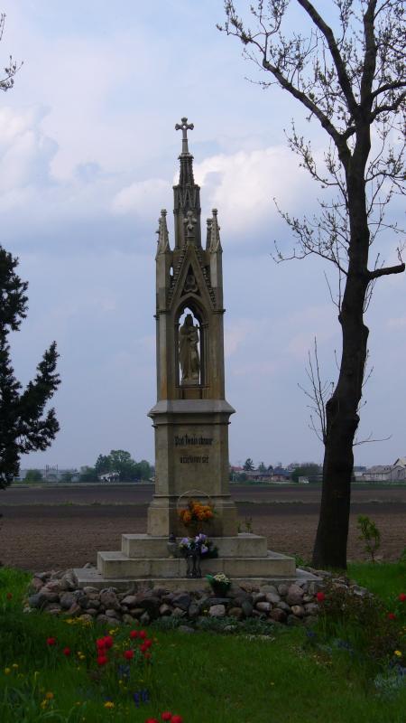 28954.jpg