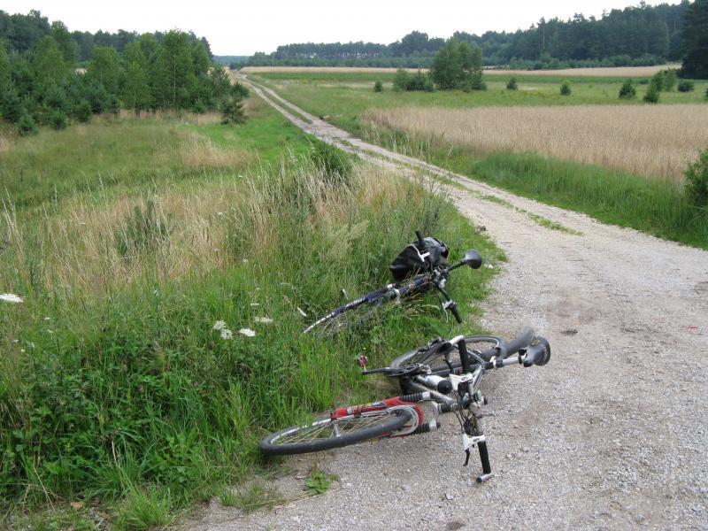 29042.jpg