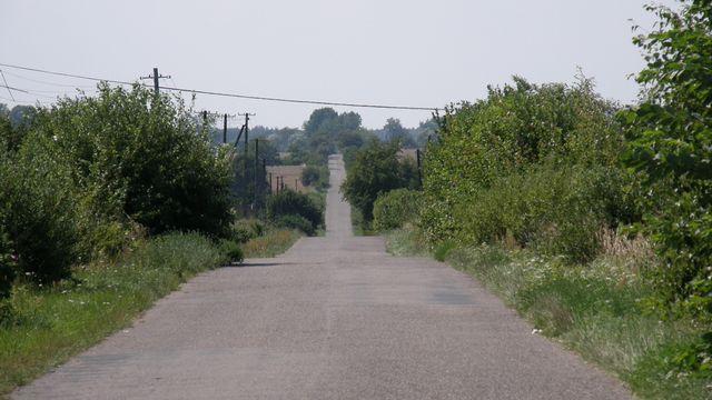 29216.jpg