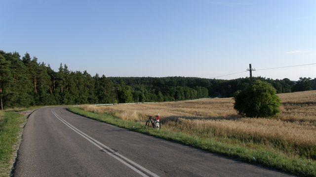 29223.jpg