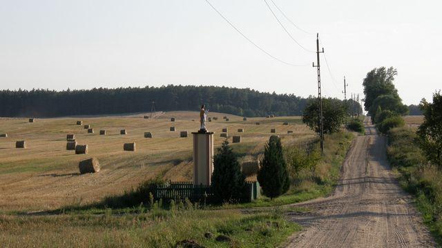 29224.jpg
