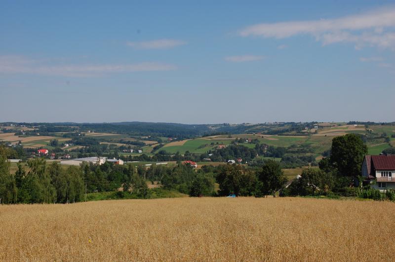 ryglice