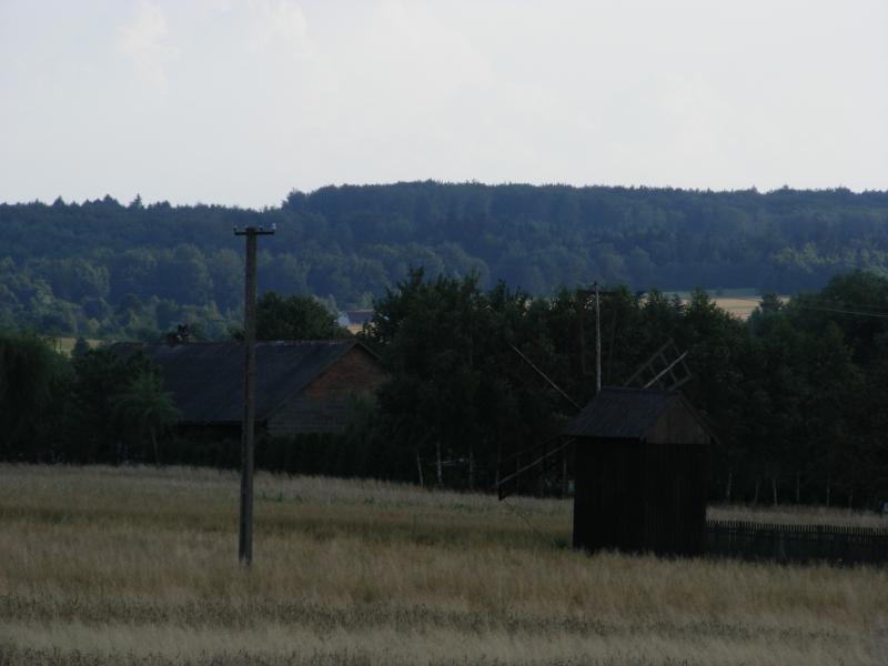 29391.jpg