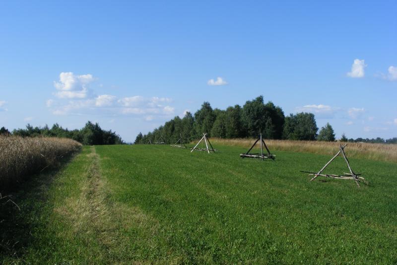 29410.jpg