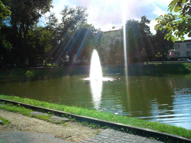 siedlce 29 07 08r