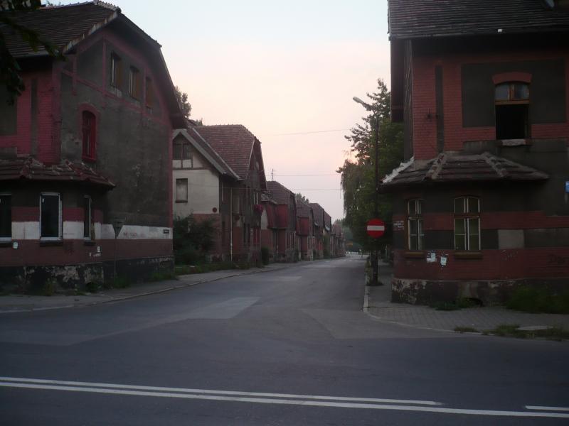 bytom, bobrek, familoki