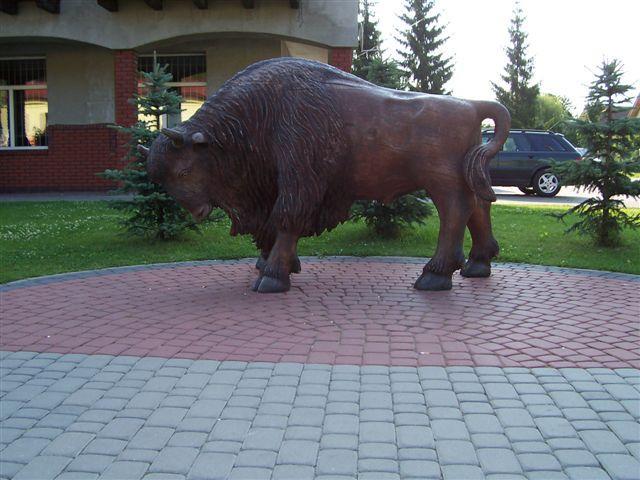 30515.jpg