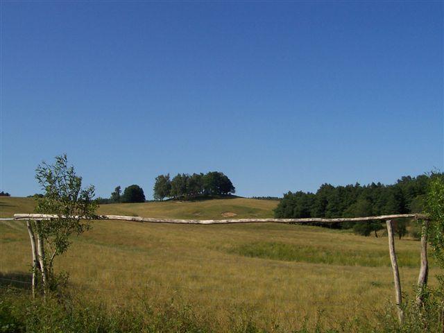 30520.jpg