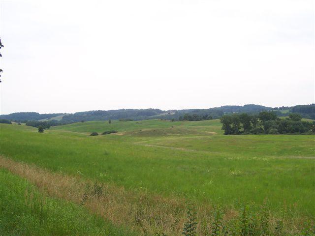 30534.jpg