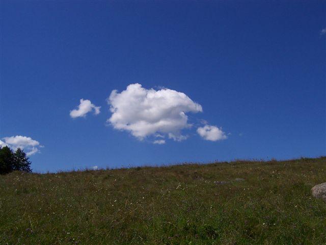 30577.jpg