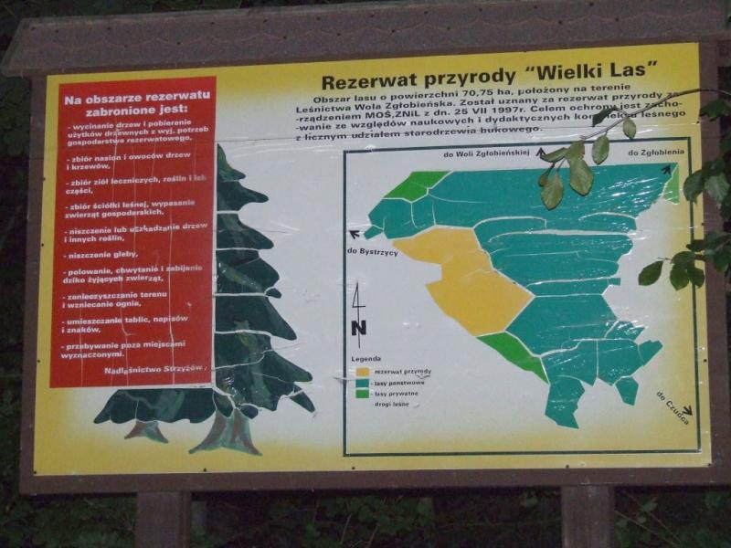 31145.jpg