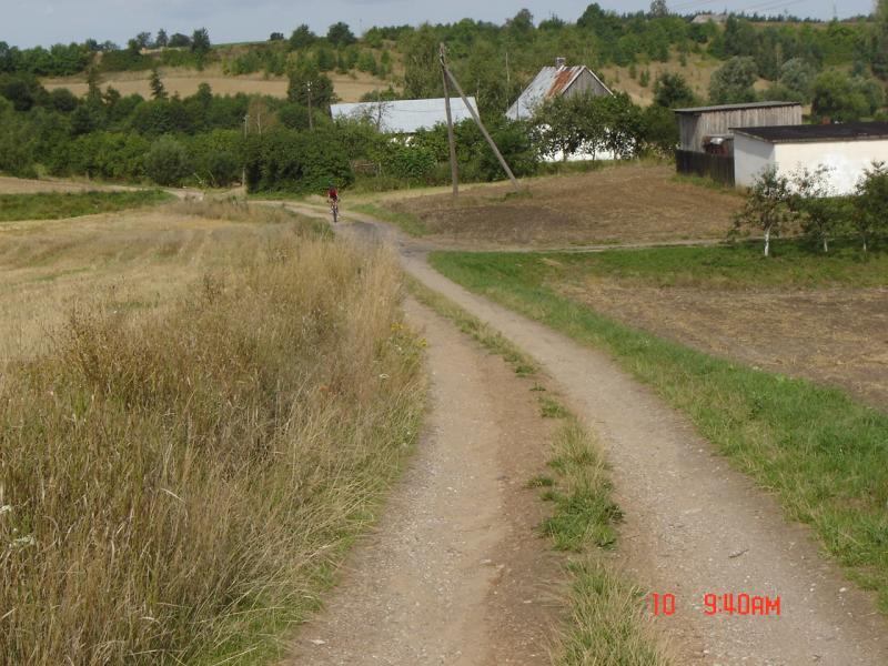 31154.jpg