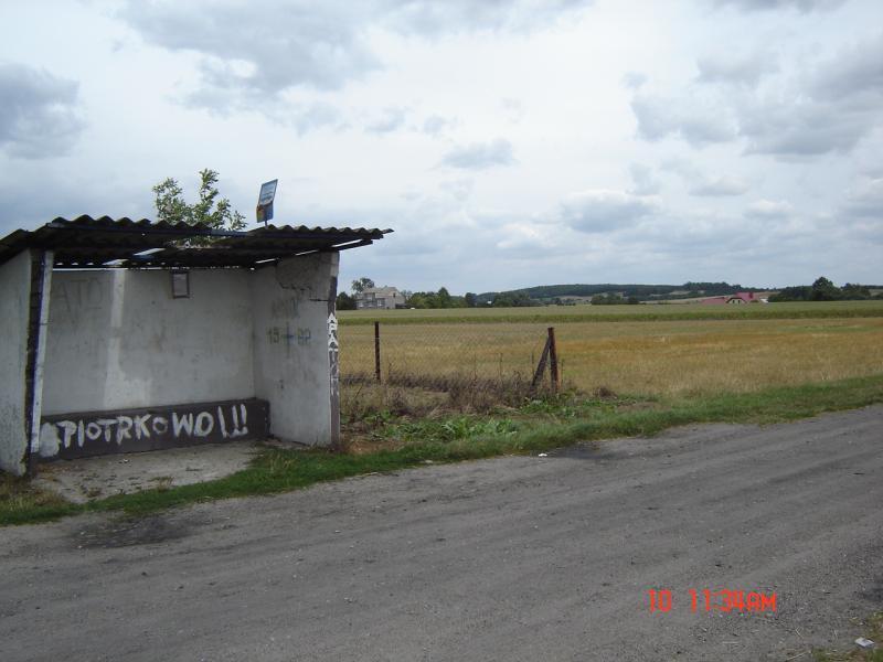 31155.jpg
