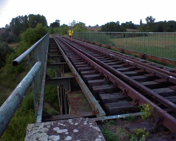 31227.jpg