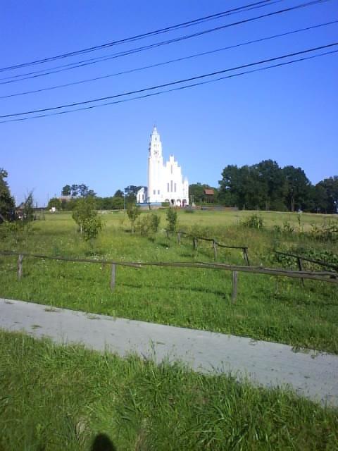 31245.jpg