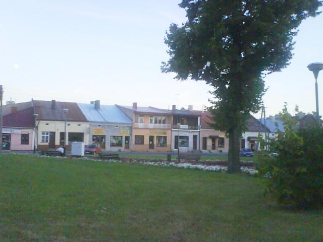 31253.jpg