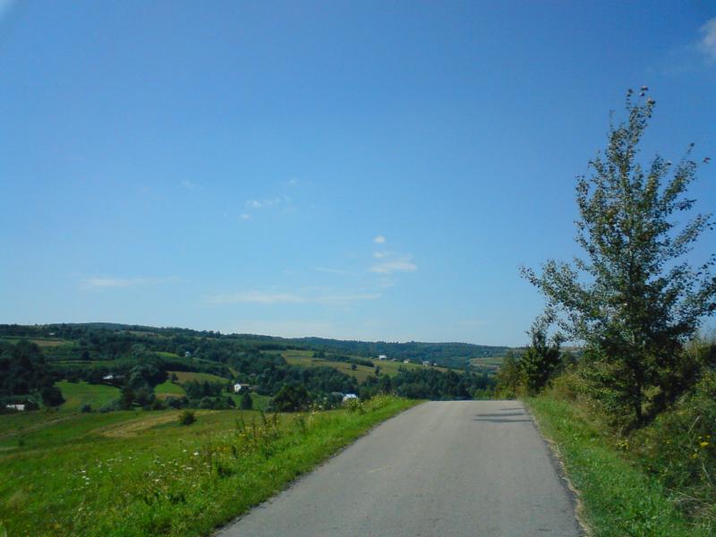 31257.jpg