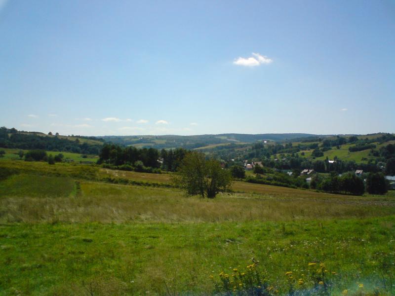 31258.jpg