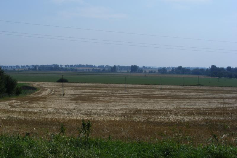 31527.jpg
