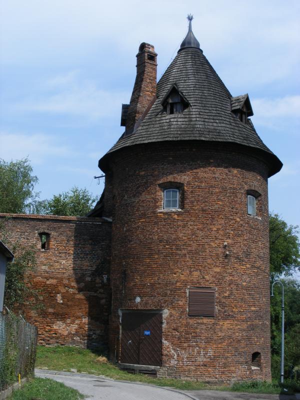 31551.jpg