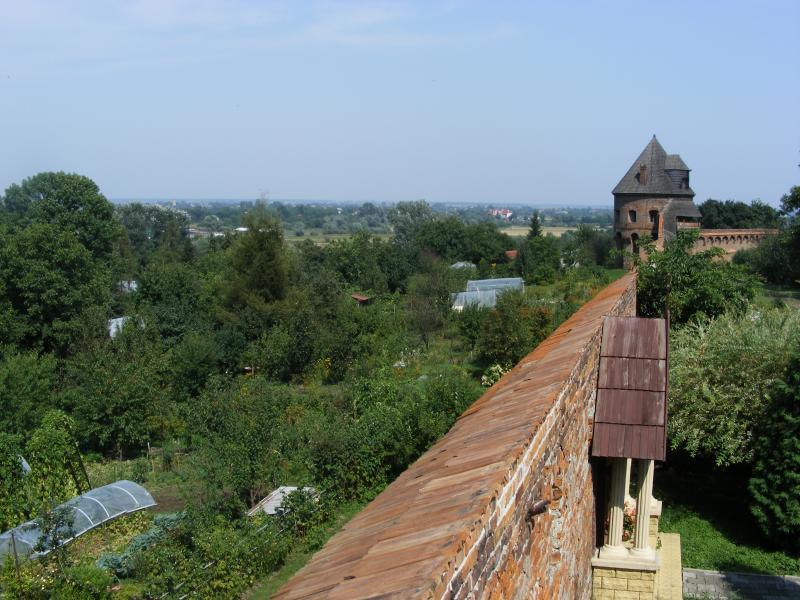 31554.jpg