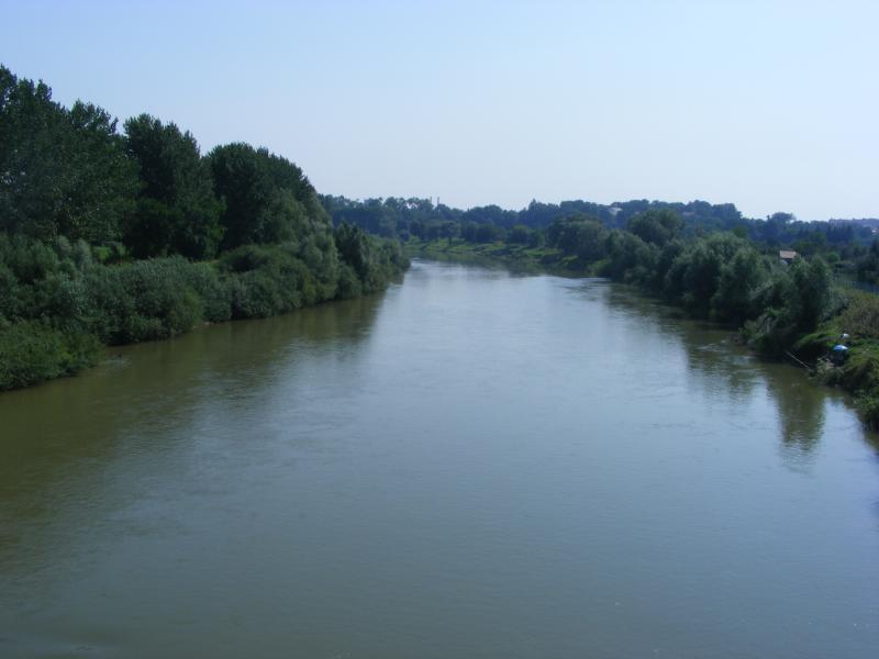 31558.jpg