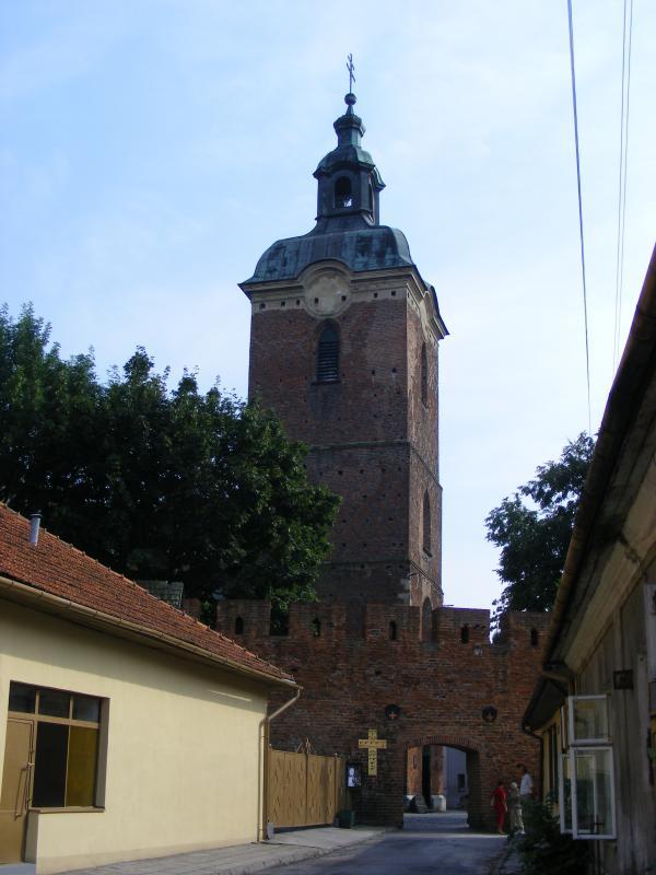 31561.jpg
