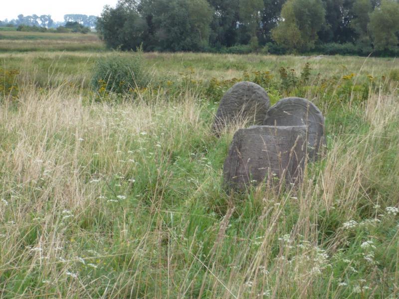cmentarz, błonie, kirkut